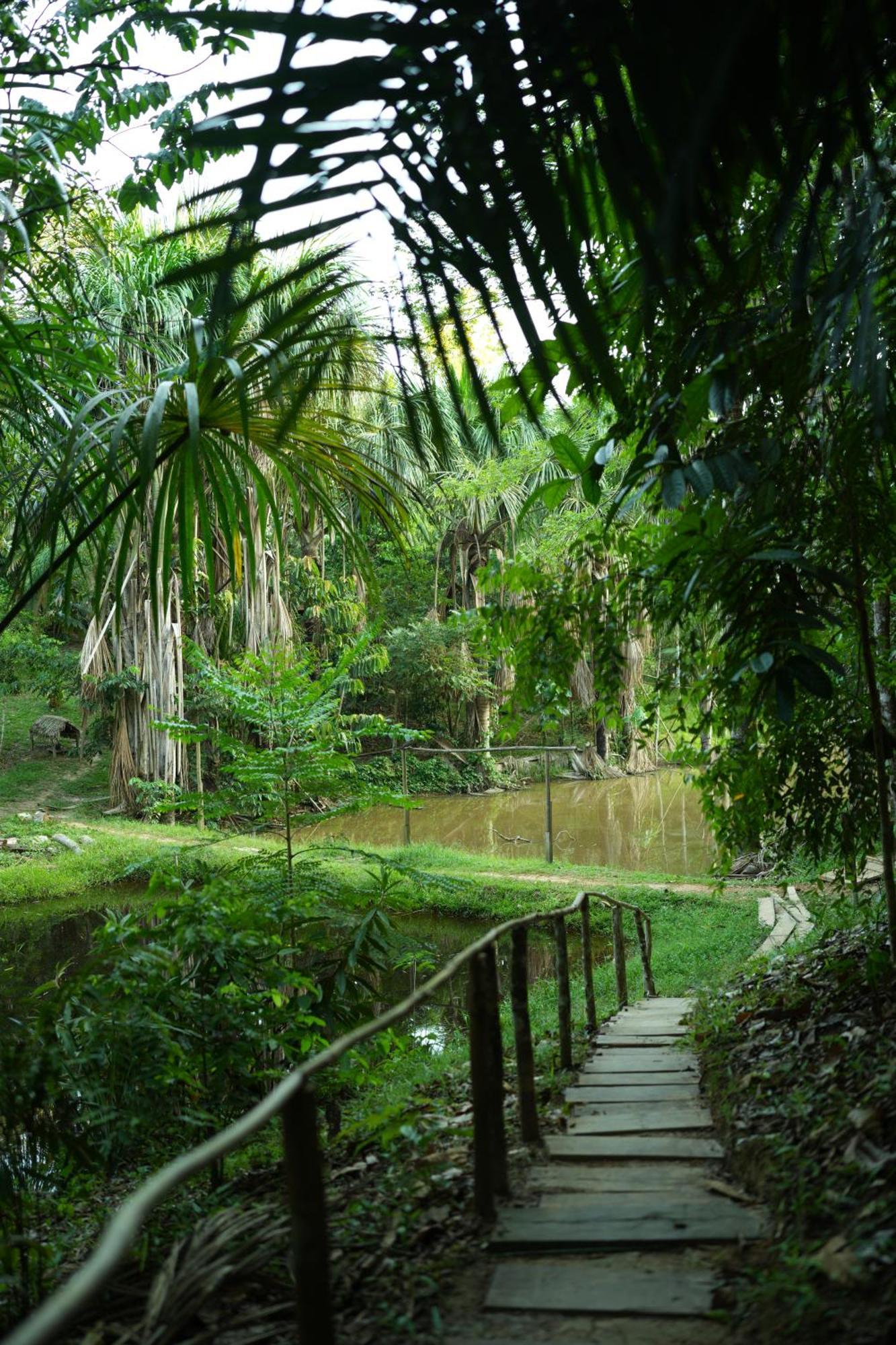 Awaken Amazonian Healing Resort All Inclusive Iquitos Eksteriør billede