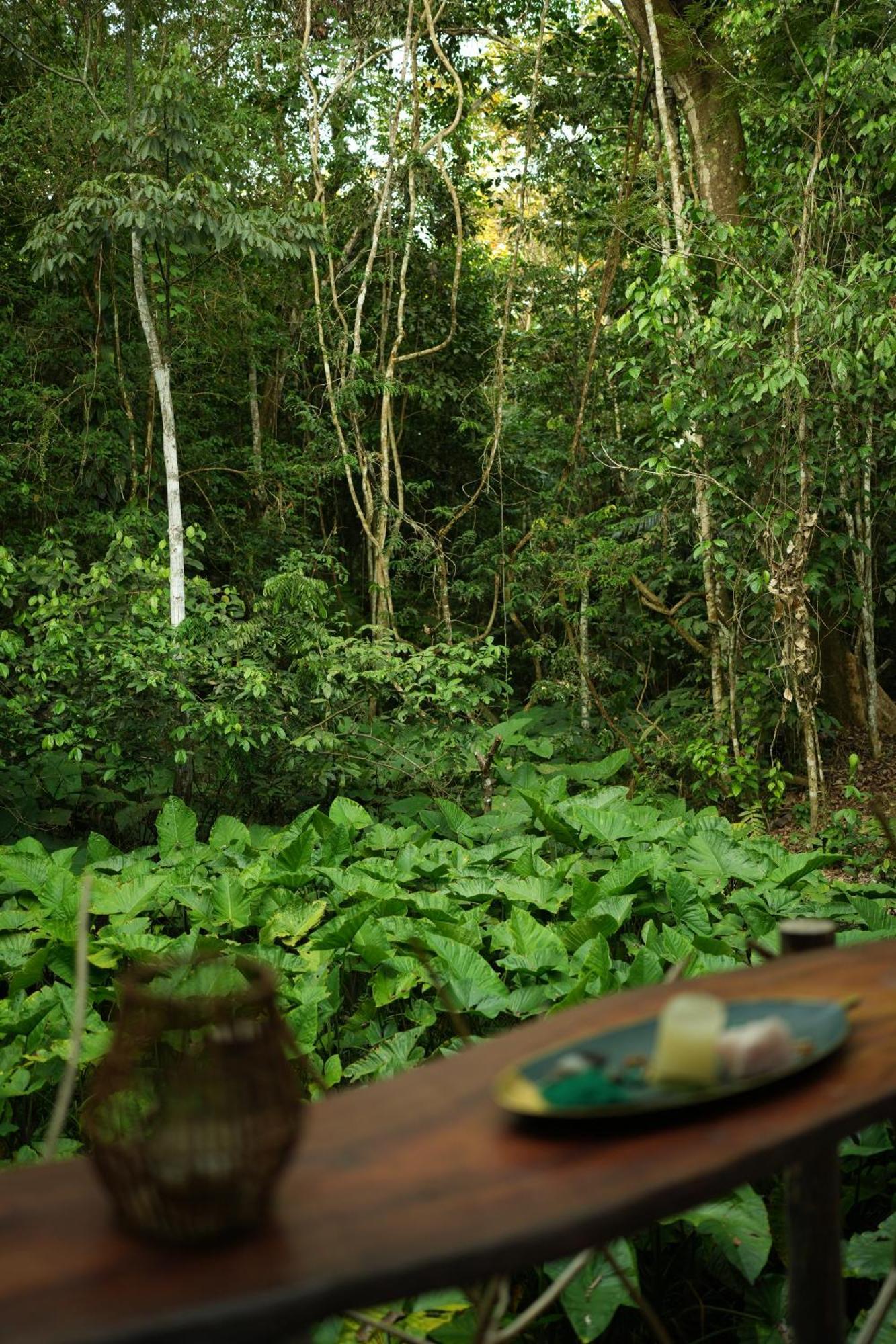 Awaken Amazonian Healing Resort All Inclusive Iquitos Eksteriør billede